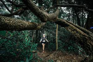 BIB: 
                            <button type="button" onclick="openModal(25705548)" class="btn btn-primary btn-sm float-right btn-popup" data-toggle="modal" data-target=".modal-high-quality">
                        <i class="fas fa-shopping-cart"></i> Add to Cart
                    </button>
                                            <button type="button" onclick="isThisMe(25705548, true)" class="btn btn-success btn-sm float-right btn-popup btn-isme hidden" data-toggle="tooltip" data-placement="bottom" title="นี่คือรูปของคุณใช่ไหม คลิกที่นี่เพื่อเอาเข้าอัลบั้ม">
                        <i class="fas fa-plus"></i> Add to album
                    </button>
                    <button type="button" onclick="isThisMe(25705548, false)" class="btn btn-warning btn-sm float-right btn-popup btn-isnotme hidden">
                        <i class="fas fa-ban"></i> Remove from album
                    </button>